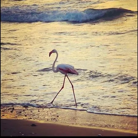 וילה In Con Idromassaggio בלסטראטה