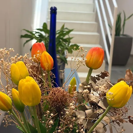 וילה In Con Idromassaggio *