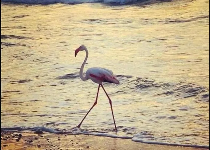 Вилла In Con Idromassaggio Балестрате